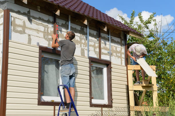 Best Wood Siding Installation  in Noel, MO