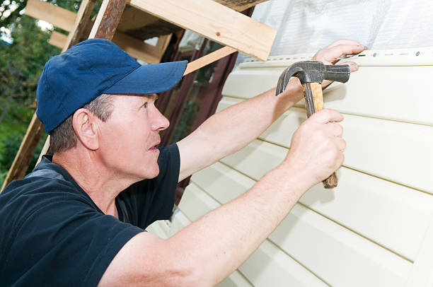 Best Insulated Siding Installation  in Noel, MO