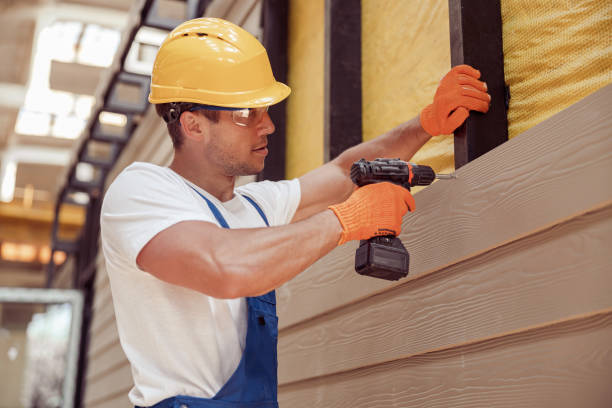 Best Brick Veneer Siding  in Noel, MO
